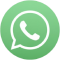 WhatsApp Icon